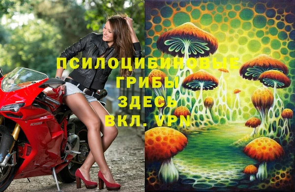 сатива Осинники