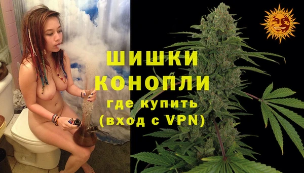 ПСИЛОЦИБИНОВЫЕ ГРИБЫ Остров