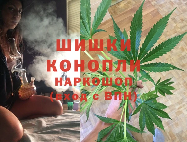 винт Осташков