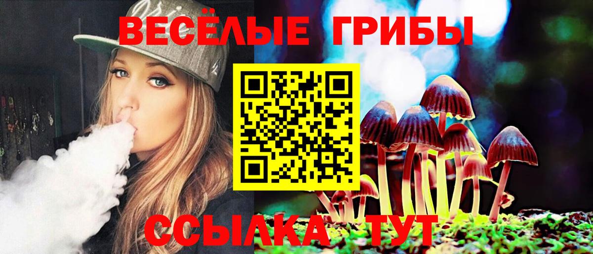 Галлюциногенные грибы Cubensis Костомукша