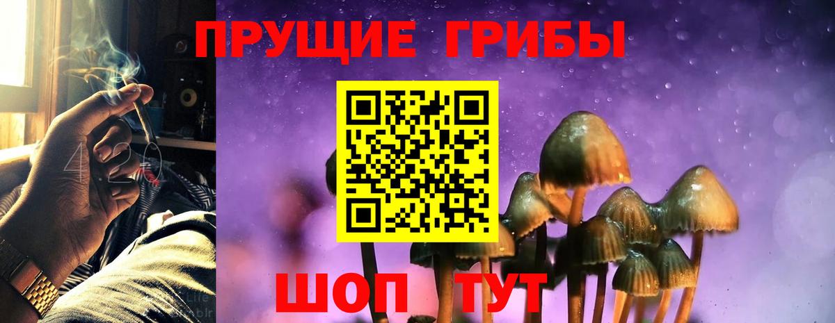 Костомукша  Псилоцибиновые грибы Magic Shrooms  Вход с VPN 